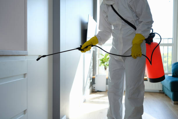 Best Mold Testing  in North Newton, KS