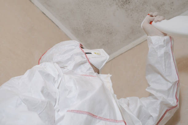 Best Mold Remediation  in North Newton, KS