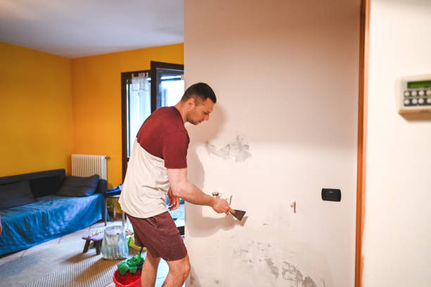 Mold Removal Process in North Newton, KS