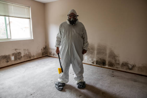 Best Home Mold Removal  in North Newton, KS